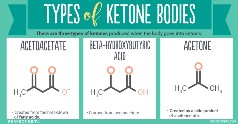 Ketone Bodies